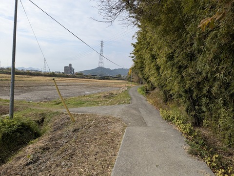 PXL_20251127_025311436