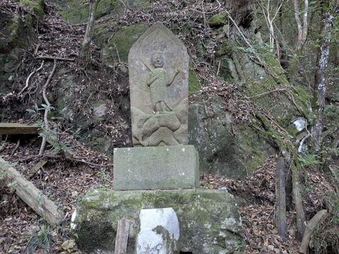 PXL_20251114_232902342