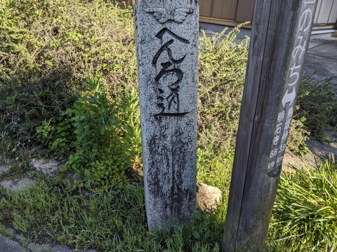 PXL_20240424_231100787