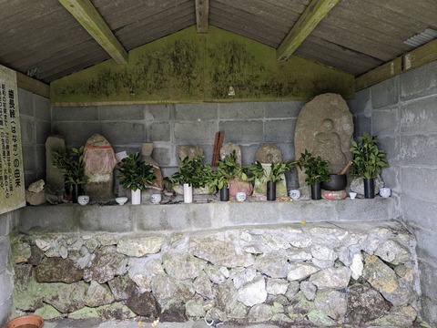 PXL_20240424_020241540