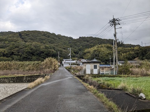 PXL_20240328_222213611