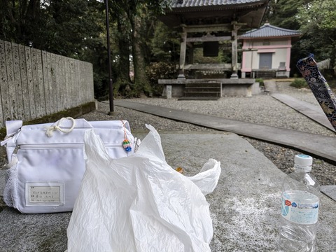 PXL_20240328_034208901