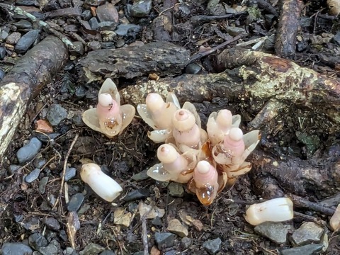 PXL_20251125_010833220