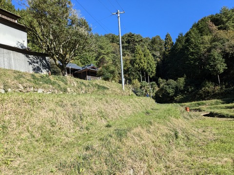 PXL_20241109_045300776.MP