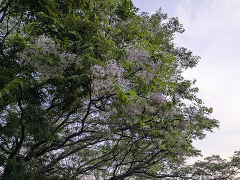 PXL_20250526_202716091