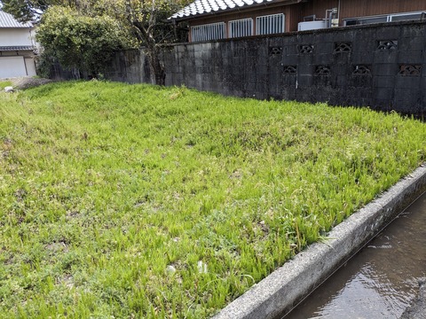 PXL_20240331_021720472