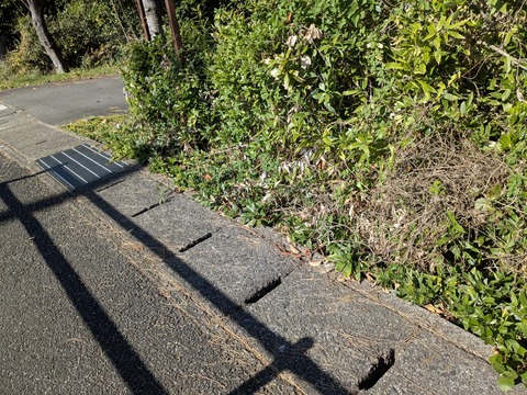 PXL_20251123_012203588