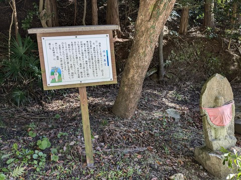 PXL_20241109_042925571