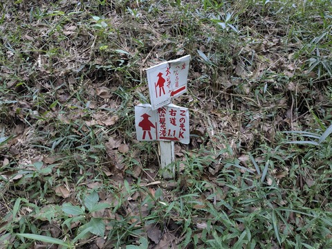 PXL_20250928_024134563