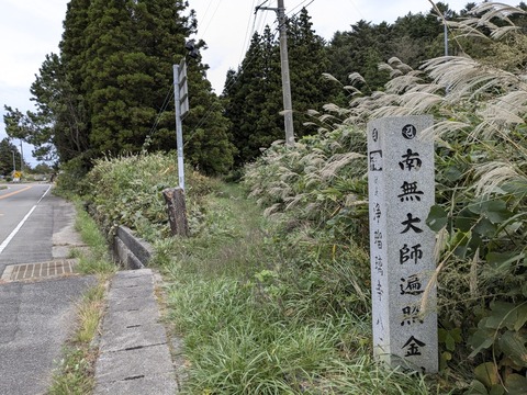 PXL_20241021_235359820