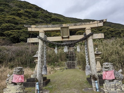 PXL_20240328_015809184