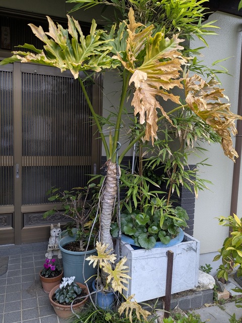 PXL_20250323_220337570