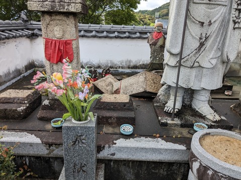 PXL_20240423_054056119