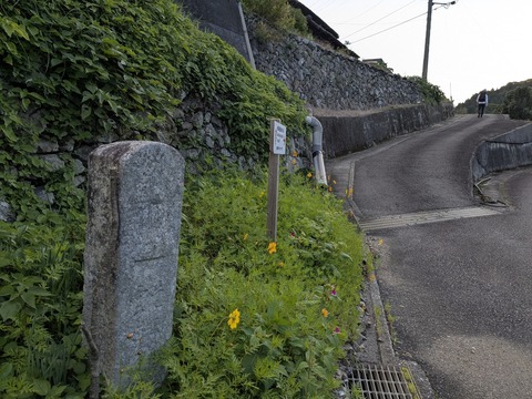 PXL_20251102_215341790