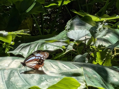 PXL_20241122_021012266