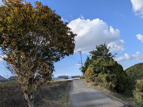 PXL_20251103_055023390