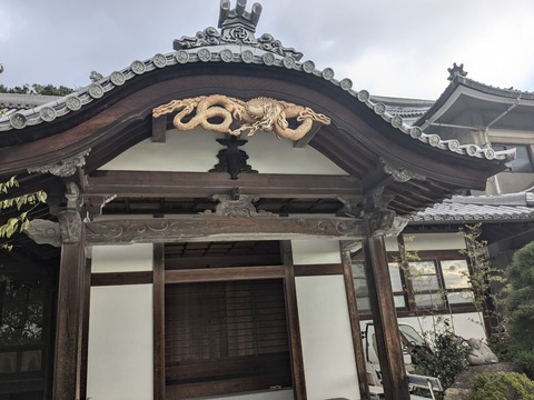 PXL_20241024_224201721