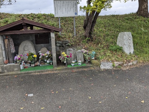 PXL_20241023_031707269