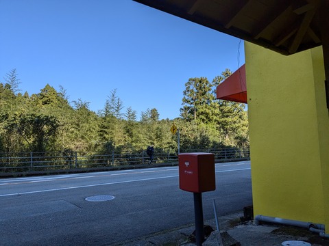 PXL_20241120_024259684