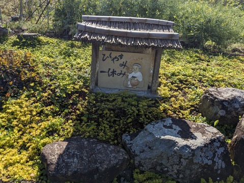 PXL_20240424_232831322