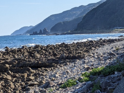 PXL_20240327_071253467