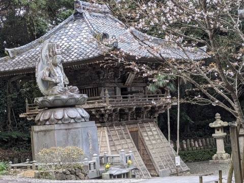 PXL_20240328_035508491