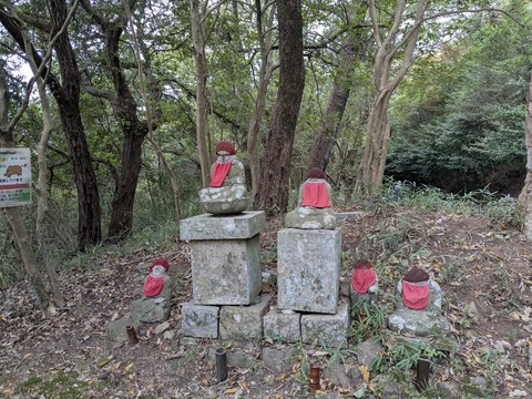 PXL_20251112_004351104