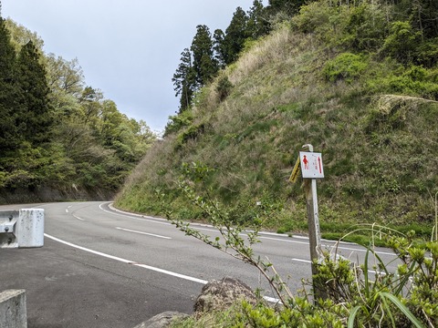 PXL_20240426_041712379