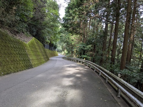 PXL_20251102_005730600