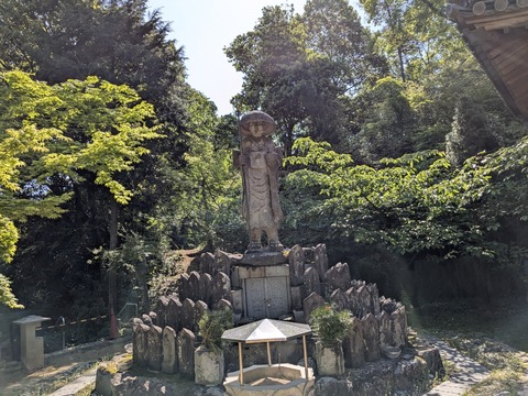 PXL_20250429_000412310