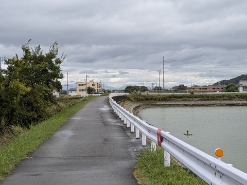 PXL_20241023_031357952