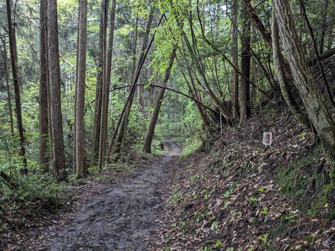 PXL_20240426_230301692