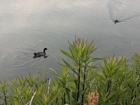 PXL_20250526_203749502