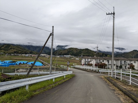 PXL_20240423_224340754