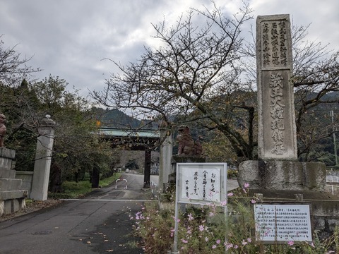 PXL_20241026_232709769