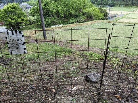 PXL_20240425_220012132