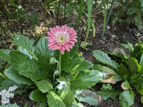 PXL_20240608_002408599