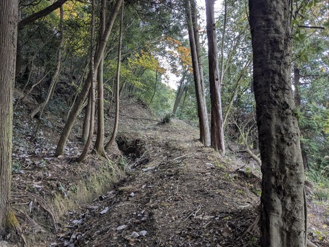 PXL_20251113_231739619