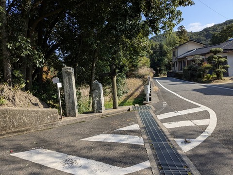 PXL_20251114_015006346