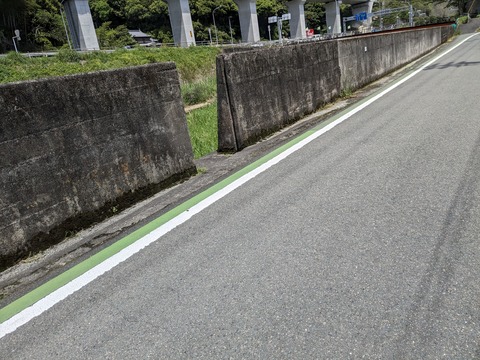 PXL_20240425_023818282