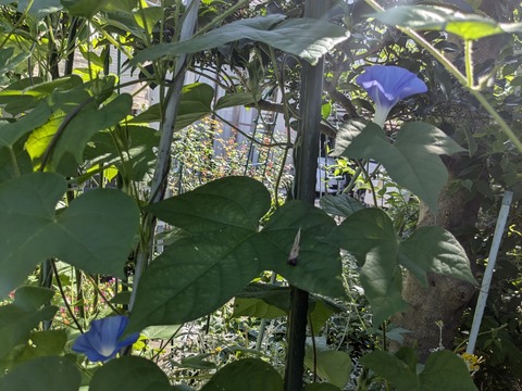 PXL_20240718_233410237