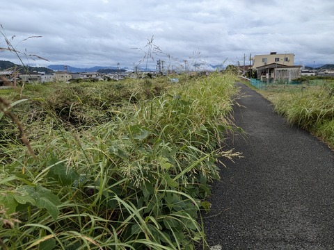 PXL_20240922_014532189