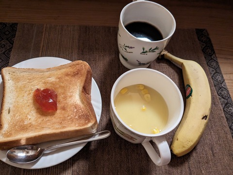 PXL_20240425_194207837