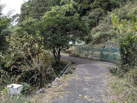 PXL_20241121_010153011