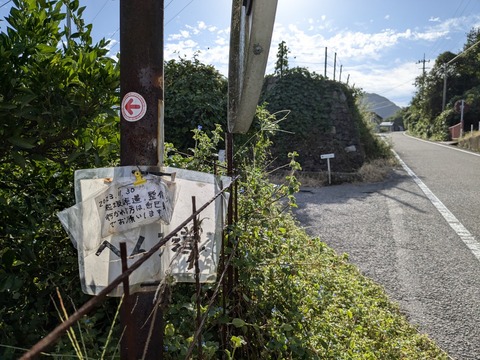 PXL_20241023_235229445