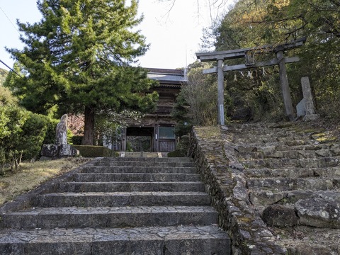 PXL_20240329_235824563