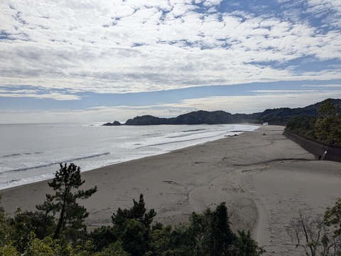 PXL_20241121_015924007