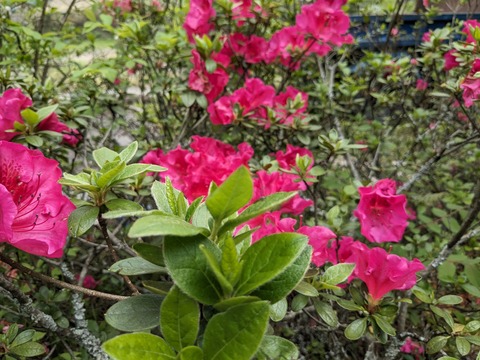 PXL_20240426_024339950