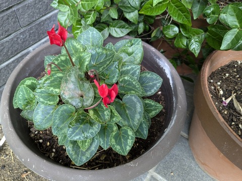 PXL_20250620_234757050