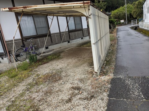 PXL_20240424_044331424